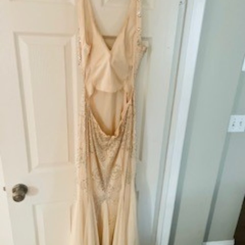 Sean collection prom dress size 10